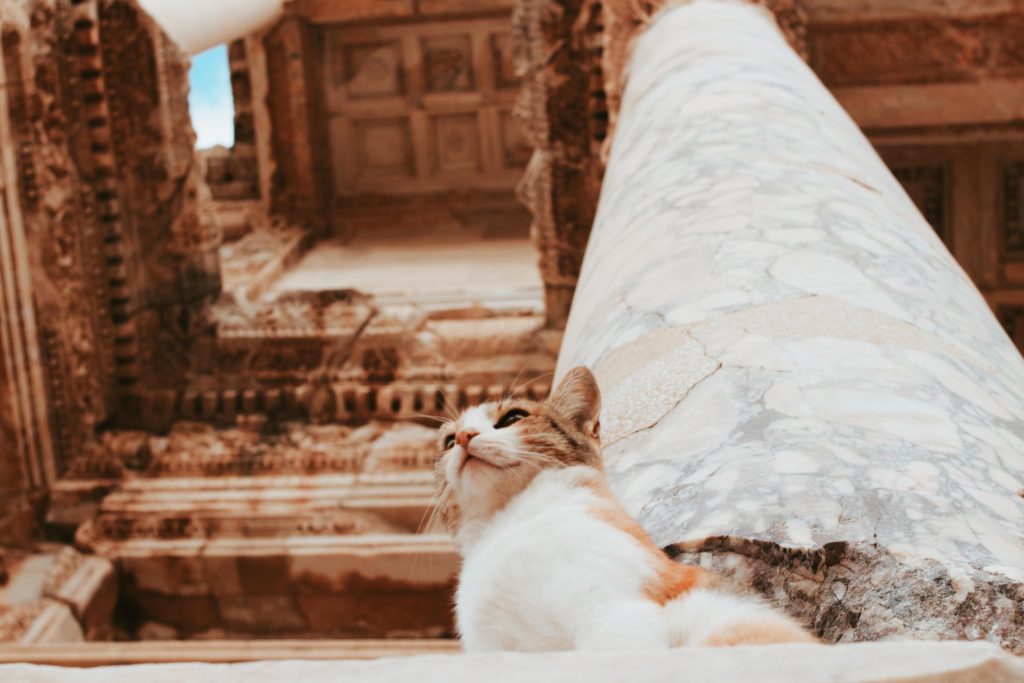 Ephesus